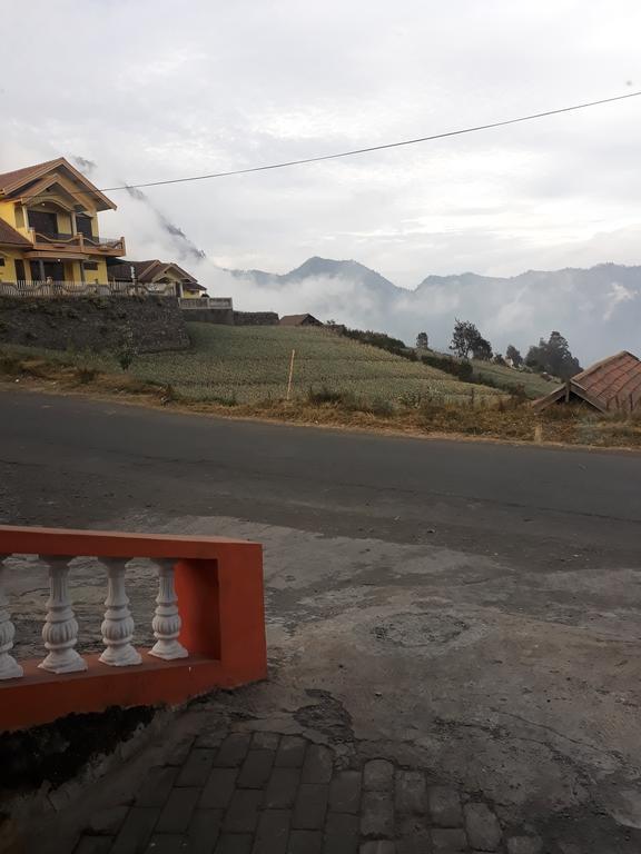 Sedulur Homestay Бромо Экстерьер фото