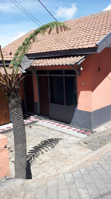 Sedulur Homestay Бромо Экстерьер фото